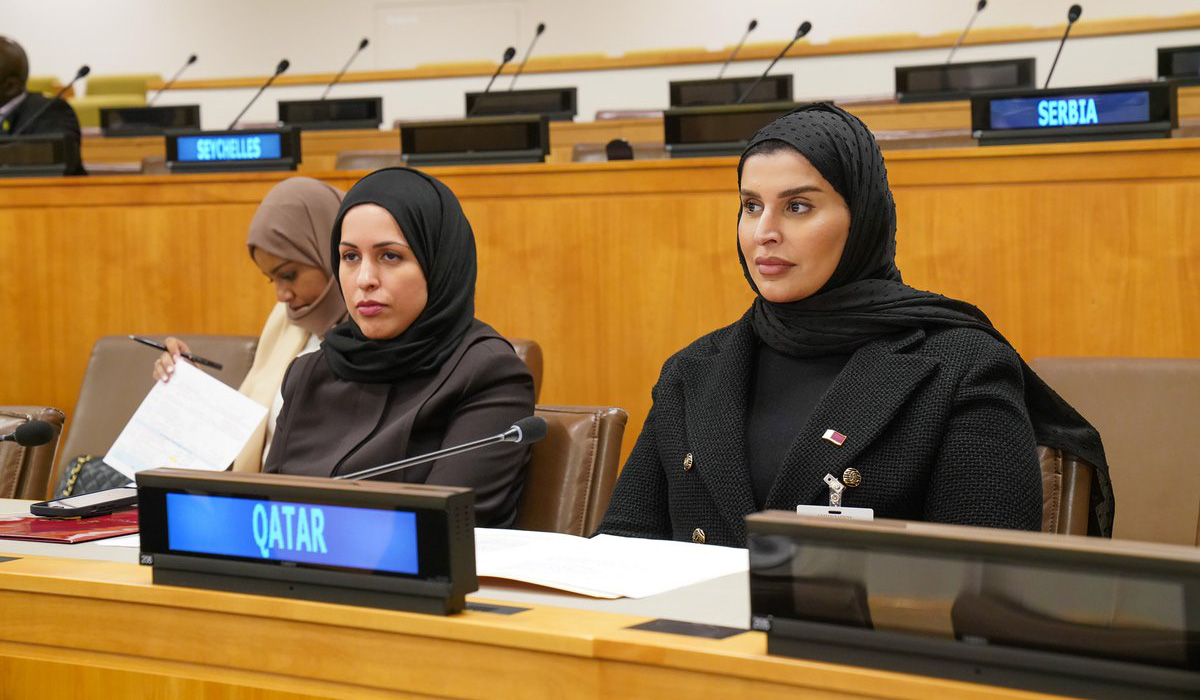 66th Session of UN Commission